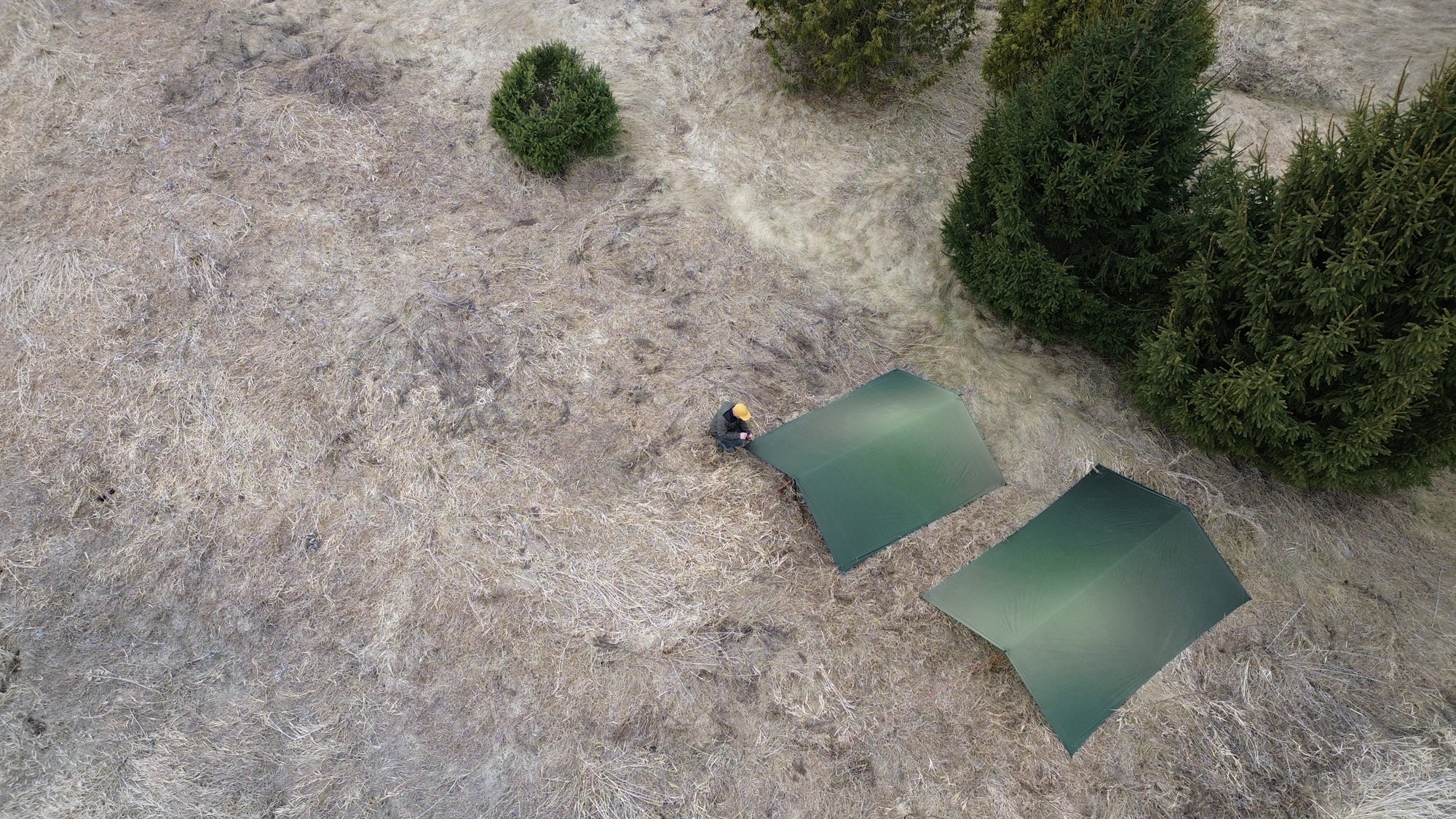 Gradient Green Speed