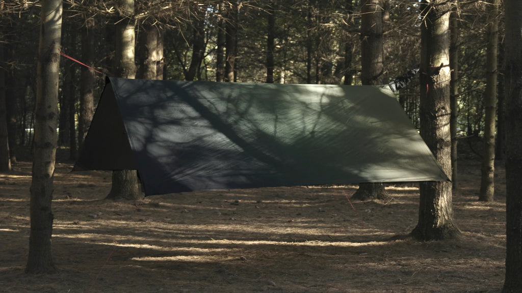 Gradient Green Speed