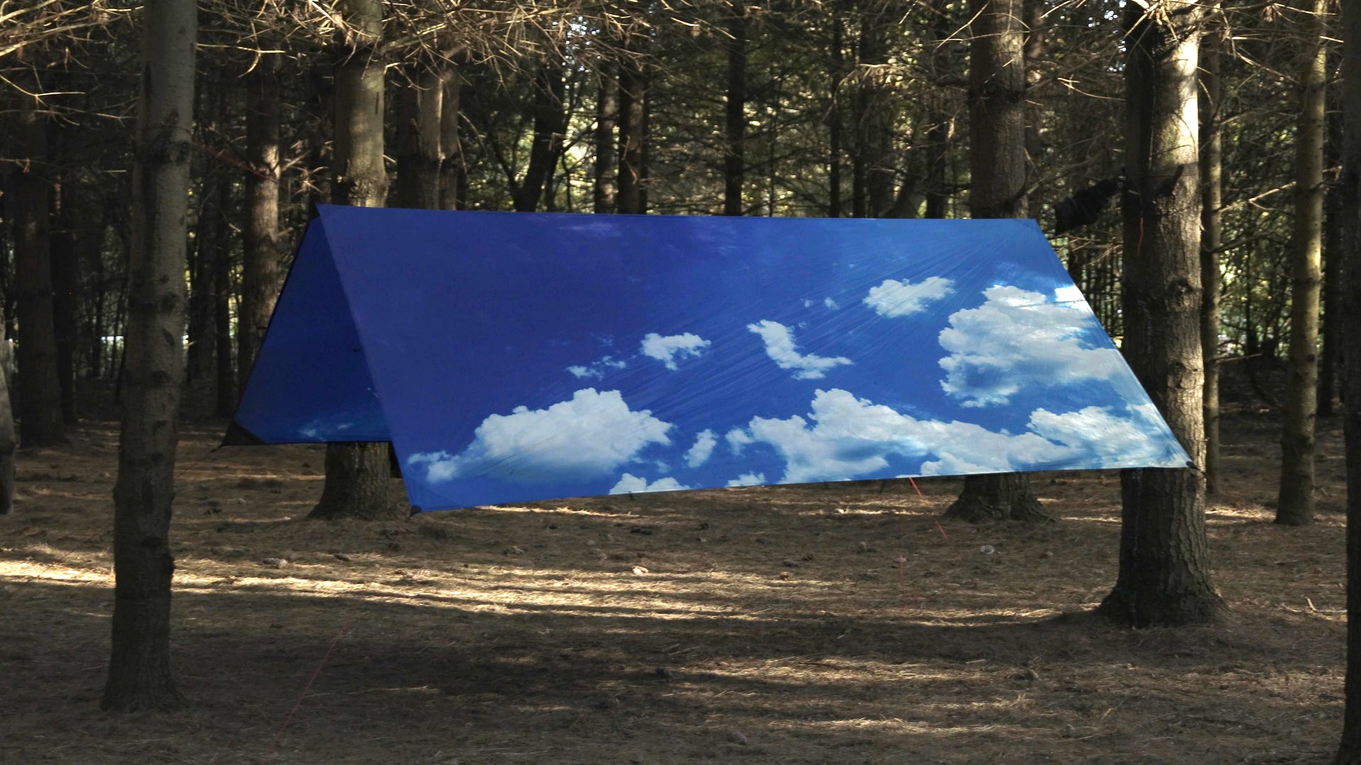 Sky Speed+Pole – Bâche