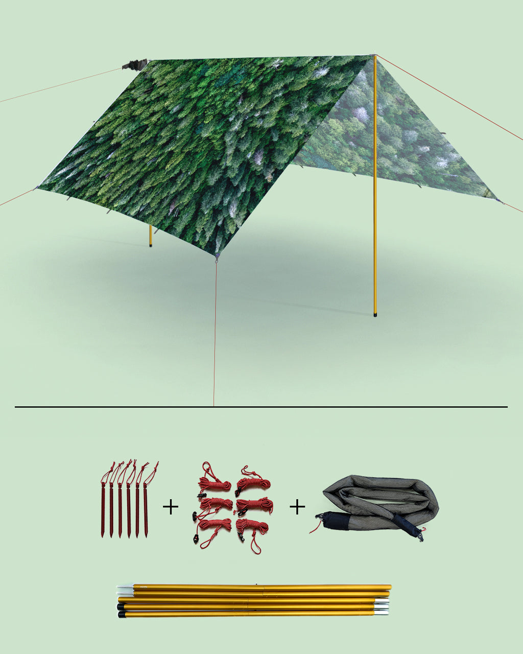 Trees Speed+Poles
